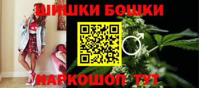 индика Мариинск