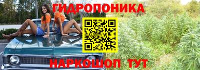индика Мариинск