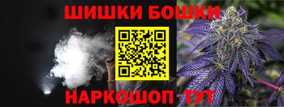 индика Мариинск