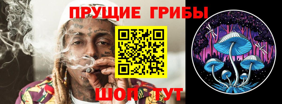 Россия  Псилоцибиновые грибы мицелий  Вход с VPN 